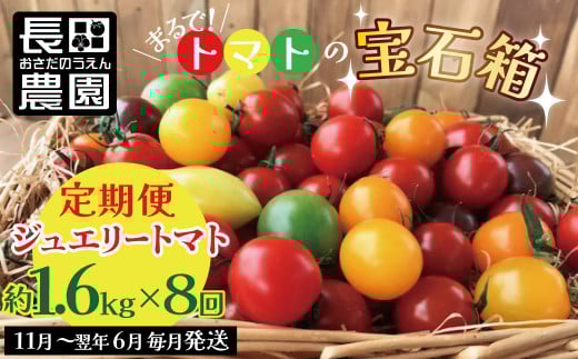【先行受付】11月〜6月毎月発送 まるで宝石箱!!ジュエリートマトの定期便 8回コース【個数限定】 長田農園  産地直送 カラフル トマト とまと 野菜 やさい フルーツ サラダ 濃厚 甘い ご