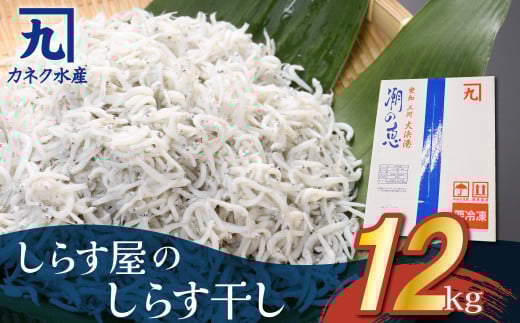 しらす屋のしらす干し 1kg×12個 12kg 魚介類 しらす シラス 国産 海の幸 ご飯のお供 おつまみ しらす丼 グルメ ギフト 贈り物 やみつき 冷凍 大容量 H006-071愛知県碧南市120000魚介・海産物その他