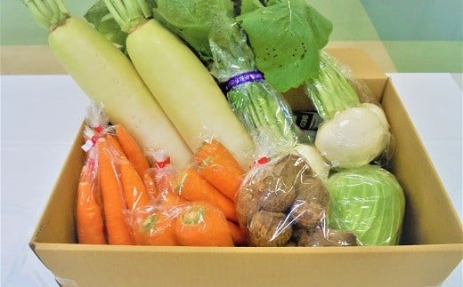 (2026年発送:予約受付中)旬の野菜をお届け!甘〜い人参と地元野菜セット へきなん美人 にんじん H025-010愛知県碧南市10000野菜・きのこ大根・ニンジン・根菜類