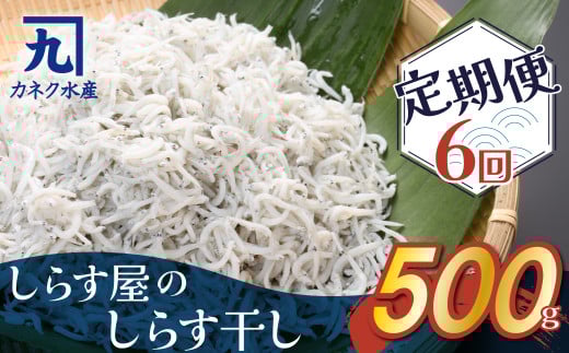 しらす屋のしらす干し 500g×6ヶ月 定期便 魚介類 しらす シラス 国産 海の幸 ご飯のお供 おつまみ しらす丼 グルメ ギフト 贈り物 やみつき 冷凍 H006-085愛知県碧南市54000魚介・海産物その