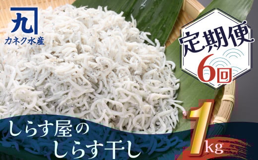 しらす屋のしらす干し 1kg×6ヶ月 定期便 魚介類 しらす シラス 国産 海の幸 ご飯のお供 おつまみ しらす丼 グルメ ギフト 贈り物 やみつき 冷凍 H006-087愛知県碧南市90000魚介・海産物その