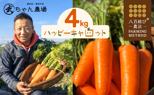 甘さと栄養で体も笑う武ちゃん農場の“ハッピーキャロット 4s H095-021愛知県碧南市7000野菜・きのこ大根・ニンジン・根菜類