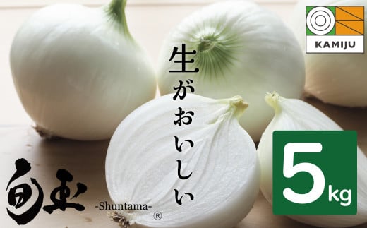 (2026年発送)新玉ねぎ 生がおいしい 神重農産のブランド玉ねぎ「旬玉」5kg ブランド玉ねぎ 玉ねぎ 国産 愛知県産 野菜 やさい 農家直送 畑直送 旬 期間限定 たまねぎ 先行予約 旬 特産 高評価