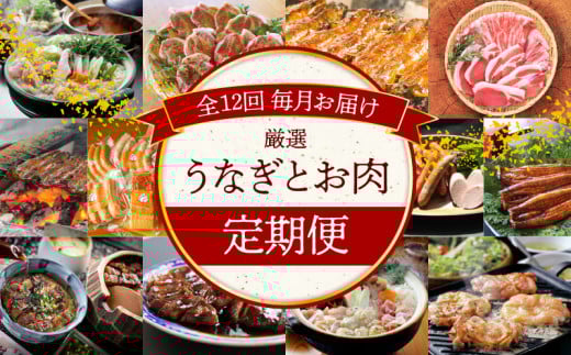 【全12回】厳選!うなぎとお肉の定期便(毎月お届け) H028-076愛知県碧南市228000魚介・海産物うなぎ