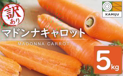 <フジテレビ『どっちのふるさと?』で紹介されました!>訳あり!こどもも食べられる甘み!「マドンナキャロット」 5kg にんじん 人参 ニンジン 野菜 やさい 国産 碧南市 健康 食品ロス