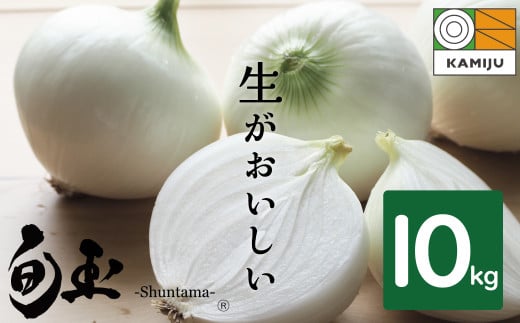 (2026年発送)新玉ねぎ 生がおいしい 神重農産のブランド玉ねぎ「旬玉」10s ブランド玉ねぎ 玉ねぎ 国産 愛知県産 野菜 やさい 農家直送 畑直送 旬 期間限定 たまねぎ 先行予約 旬 特産 高評