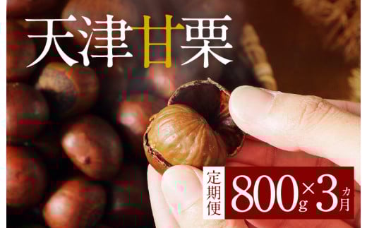 y{̒ցz( s\ ) ̓50N̐ElĂ₳ÂVÊÌIǂ800g! Ă I  I kt َq ܂ lC s[g  I IƂ