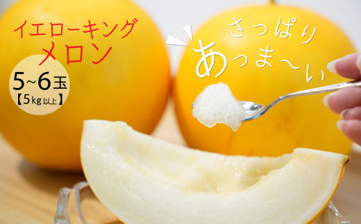 y2026NznICG[LO 5kgȏ(5ʁ`6)@H141-017mɓs17000ʕEt[cEXCJ