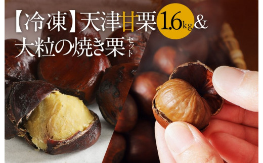 (予約受付)新栗でお届け!【冷凍】天津甘栗1.6kg&大粒の焼き栗セット  焼きたて 栗 くり 栗爪 殻付き お菓子 おつまみ 人気 高リピート 小分け 美容 健康 栄養豊富 新栗 H045-055愛知県碧南