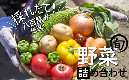 目利きのプロ 八百屋厳選 野菜詰め合わせセット(8〜10種類お届け) H151-010愛知県碧南市12000野菜・きのこその他 野菜