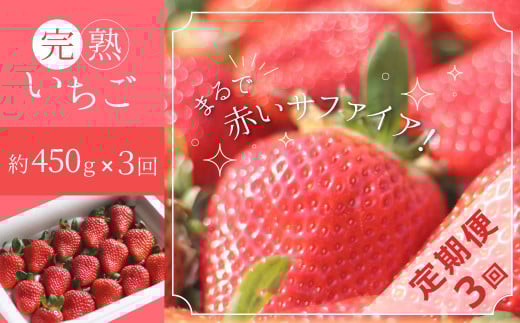 i\tj yցzi123͂j܂ŐԂTt@CA!!O߂n!! 450g×3@H130-013mɓs39000ʕEt[c