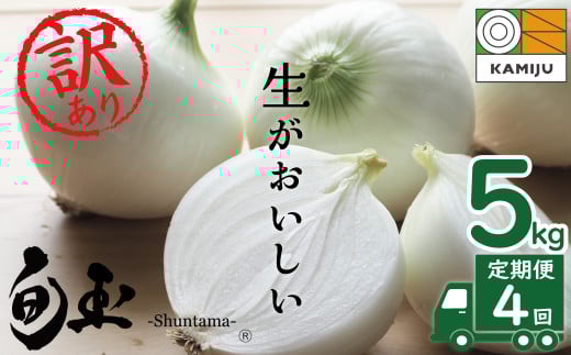 (2026年発送)訳あり 新玉ねぎ 定期便 5kg×4回 生がおいしい 神重農産のブランド玉ねぎ「旬玉」 ブランド玉ねぎ 玉ねぎ 新玉ねぎ 国産 愛知県産 野菜 やさい 農家直送 畑直送 旬 たまねぎ 先