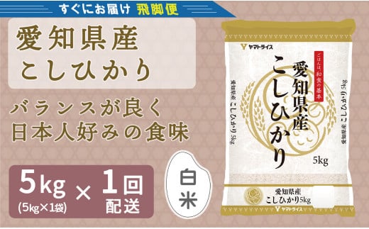 (数量限定)【すぐにお届け&日時指定可】 愛知県産コシヒカリ 5kg こめ コメ ごはん 安心安全なヤマトライス 米 白米 国産 精米 5キロ 新米 令和7年 H074-687愛知県碧南市16000米・パン白米