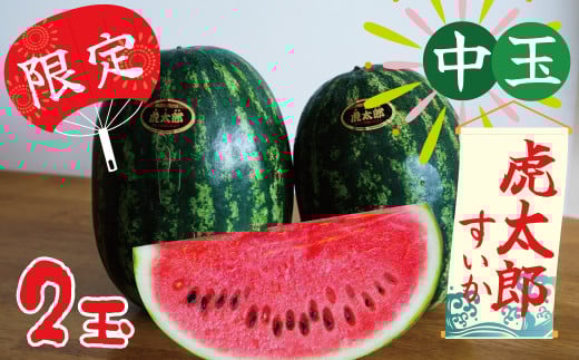 【2026年発送】夏の風物詩 中玉すいか「虎太郎西瓜」2玉 すいか 甘い すいか2玉  H141-016愛知県碧南市15000果物・フルーツメロン・スイカ