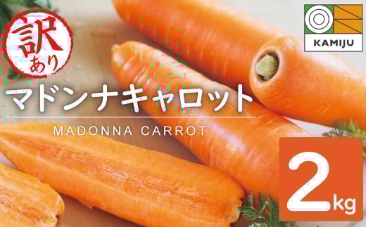 <フジテレビ『どっちのふるさと?』で紹介されました!>【期間限定】訳あり!こどもも食べられる甘み!「マドンナキャロット」 2kg にんじん 人参 ニンジン 野菜 やさい 国産 碧南市 健