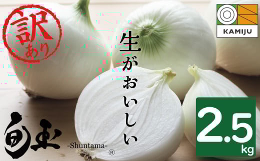 (2026年発送)【数量限定】訳あり 新玉ねぎ 生がおいしい 神重農産のブランド玉ねぎ「旬玉」2.5kg ブランド玉ねぎ 玉ねぎ 国産 愛知県産 野菜 やさい 農家直送 畑直送 旬 期間限定 たまねぎ 先