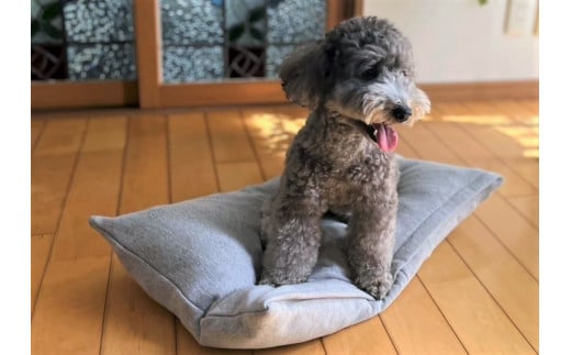 【たっぷり!!リアルダウン使用】ペット用 羽毛クッションベッドセット 犬や猫が大好き!! ペットベッド H162-041愛知県碧南市20000雑貨・日用品寝具・タオル