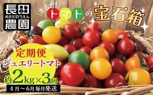 【4月〜6月の定期便】たっぷり約2s×3回! フルーツジュエリーミニトマトの定期便 長田農園  産地直送 カラフル トマト とまと 野菜 やさい フルーツ サラダ 濃厚 甘い ご褒美 プレゼント
