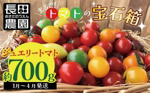 【2026年度予約分】【お試し】まるでトマトの宝石箱!ジュエリートマト 約700g(1月〜4月発送) 長田農園  産地直送 トマト とまと 野菜 やさい フルーツ サラダ 濃厚 甘い ご褒美 プレゼン