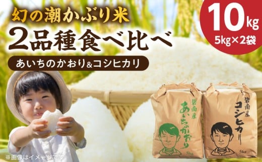 qʌry̒Ԃāzߘa7NYV ̂&RVqJ2i Hה10kgi5kg×2܁j ߘaVNxY@Vā@ R V  m  RVqJ Ђ 