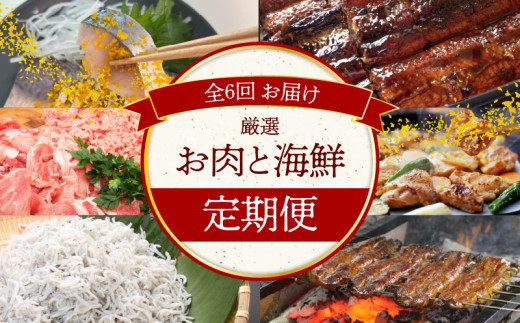 【お試し】お肉・海鮮 定期便(全6回お届け) H028-075愛知県碧南市69000肉その他 肉