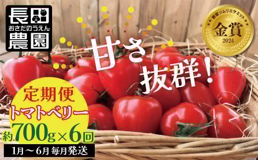 1月〜6月毎月発送  幻のミニトマト トマトベリーの定期便 約700g×6回コース ソムリエサミット 金賞 受賞 長田農園  産地直送 トマト とまと 野菜 やさい フルーツ サラダ 濃厚 甘い ご褒美