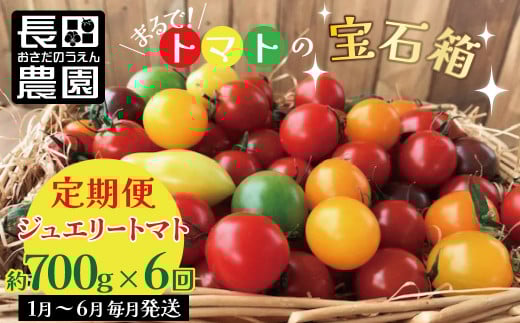 1月〜6月毎月発送 まるでトマトの宝石箱!ジュエリートマトの定期便 約700g×6回コース 長田農園  産地直送 カラフル トマト とまと 野菜 やさい フルーツ サラダ 濃厚 甘い ご褒美 プレゼ