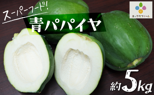 【期間限定】栄養の宝庫 青パパイヤ 約5kg スーパーフード 酵素 美容 健康 エックスファーム H164-011愛知県碧南市14000野菜・きのこその他 野菜