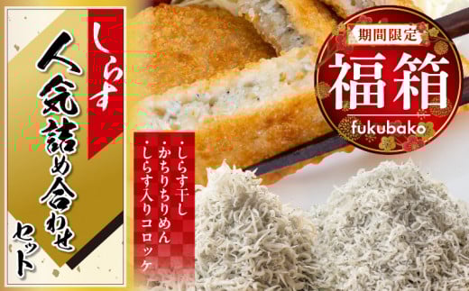 【福箱★2026】 丸久水産 人気詰め合わせセット しらす干し かちりちりめん しらす入りコロッケ H018-052愛知県碧南市18000魚介・海産物その他 魚介・海産物