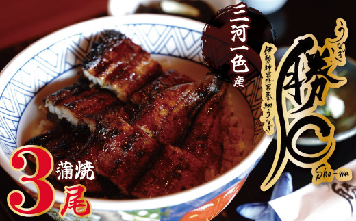 【備長炭で焼く“いい焦がし”】三河一色産うなぎの蒲焼3尾 鰻 ウナギ たれ タレ 国産 備長炭 土用 丑の日 冷凍 三河一色産 H189-003愛知県碧南市42000魚介・海産物うなぎ
