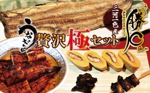 【備長炭で焼く“いい焦がし”】勝〇のぜいたく極セット 珍味うなぎの頭も食べられる 鰻 ウナギ 蒲焼 白焼 肝焼き う巻き かぶと焼き たれ タレ 国産 備長炭 土用 丑の日 冷凍 三河一色産