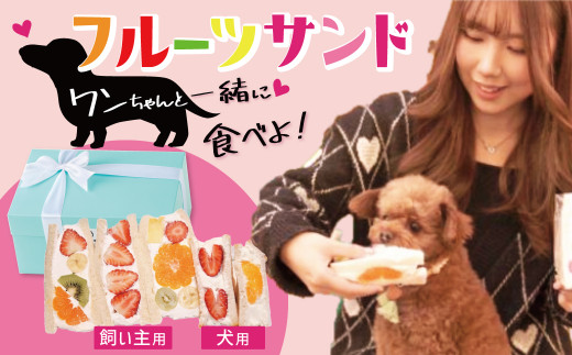 甘さ控えめ!八百屋が厳選したワンちゃん&飼い主様フルーツサンドセット 5個セット フルーツ フルーツサンド 犬 愛犬 一緒 果物 くだもの H151-012愛知県碧南市12000菓子・スイーツケーキ・