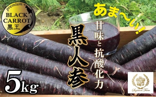 【期間限定】おどろきの甘さと抗酸化力! 黒人参『黒王』5Kg にんじん スーパーフード 健康 メロン みかん 甘い 糖度 ジュース 自慢 カラフル ブラック キャロット 農作物 自然 野菜 老化