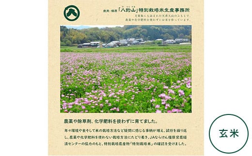 【新米】奈良・橿原 農薬や化学肥料不使用【令和7年産】ヒノヒカリ【玄米】約5kg(5kg×1袋)※2025年10月下旬〜11月上旬頃に順次発送予定奈良県橿原市17000米・パン白米
