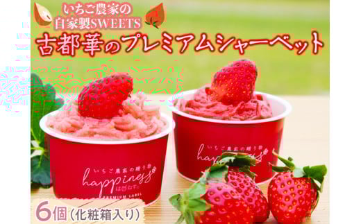 _Ƃ̎ƐSWEETS Ós؂̃v~AV[xbg6iϔjޗǌs12000َqEXC[cACXEWF[g