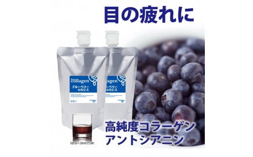 コラーゲンドリンク ブルーベリー+カシス 2本セット(約2ヶ月分)≪コラーゲン 美肌 美容 眼精疲労 ブルーベリー カシス≫ ※着日指定不可奈良県橿原市26000雑貨・日用品化粧水・乳液・