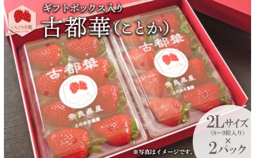 ys\Eʌzyޗǌm܎܁zMtg{bNXÓs؁iƂj2LTCYi8`9j×2pbNbƂ̂C`S_ 2026N1{`5{ɏ\ޗǌ