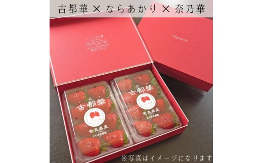 【先行予約・数量限定】【奈良県知事賞受賞】【食べ比べセット:ギフトボックス】古都華(ことか)2パック・ならあかり1パック・奈乃華1パック|とのあさイチゴ農園 ※2026年1月中旬〜5