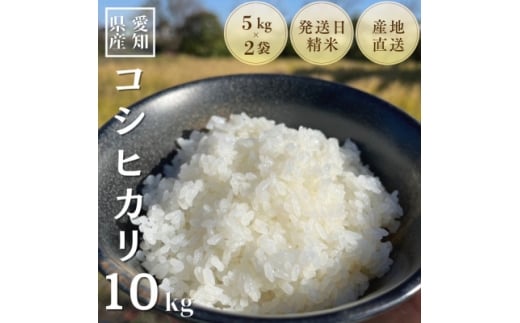 農家直送!令和7年度産低農薬コシヒカリ10kg(5kg×2袋)【1428167】愛知県岡崎市30000米・パン白米
