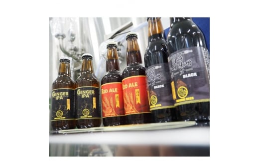 <岡崎ビール>ジンジャーIPA,レッドエール、岡崎八丁味噌ポーター 3種6本セット【1478641】愛知県岡崎市19000酒・アルコールビール・発泡酒