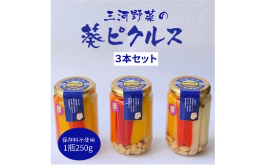 三河野菜の葵ピクルス「あいちの家康酢漬」250gびん3本【1575500】愛知県岡崎市13000鍋セット・総菜・加工食品漬物・梅干・キムチ