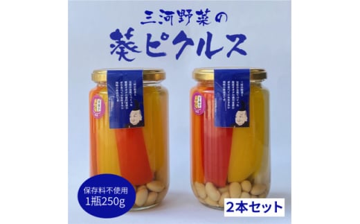 三河野菜の葵ピクルス「あいちの家康酢漬」250gびん2本【1575501】愛知県岡崎市10000鍋セット・総菜・加工食品漬物・梅干・キムチ