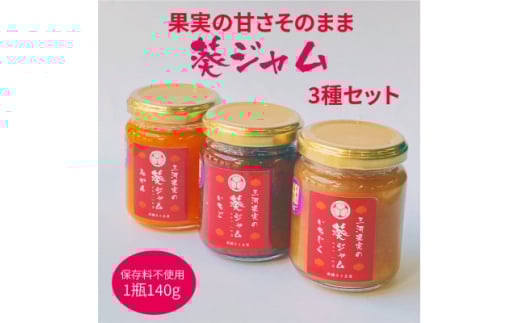 三河果実の葵ジャム140g3種セット【1575502】愛知県岡崎市9000鍋セット・総菜・加工食品ジャム・はちみつ