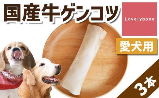 精肉店がこだわった【大中型犬向けおやつ】国産牛ゲンコツ 1本×3愛知県名古屋市9000肉その他 肉