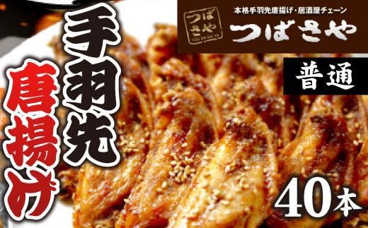 【本場】手羽先唐揚げ 普通 真空冷凍 1袋5本入り×8袋 おつまみ愛知県名古屋市18000肉鶏肉