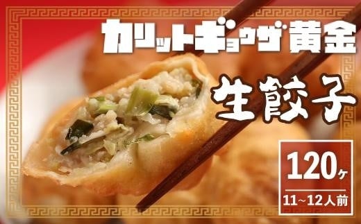 カリットギョウザ生餃子120ケ【11〜12人前】ジューシー愛知県名古屋市21000肉その他 肉