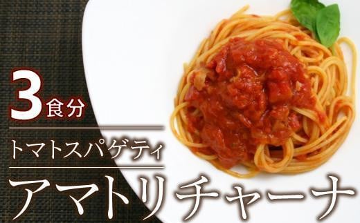 ローマの歴史を詰め込んだ アマトリチャーナ 3人前 スパゲティ付き愛知県名古屋市6000麺パスタ
