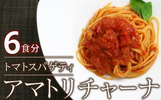ローマの歴史を詰め込んだ アマトリチャーナ 6人前 スパゲティ付き愛知県名古屋市10000麺パスタ