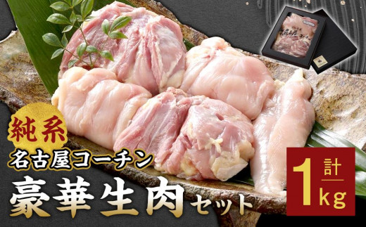 純系名古屋コーチン 豪華生肉セット愛知県名古屋市12000肉鶏肉
