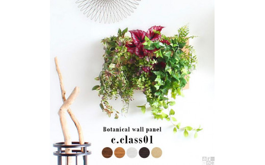 Botanical c.class 01�@�i�`���������m�����É��s55000�ߗށE�����i�E�H�|�i���̑� �����i�E�H�|�i